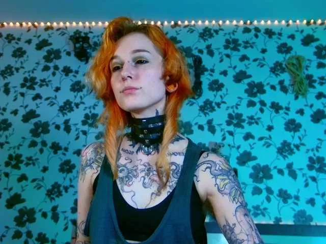 Freechat LittleSpaceMouse- on BongaCams