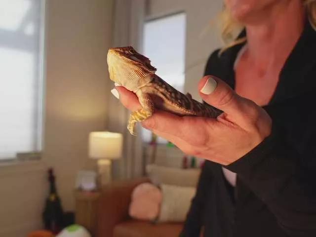 Freechat TaylorLove303 on BongaCams