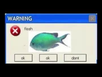 elslove on Chaturbate 