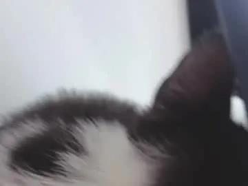 Freechat sophie_bbs on Chaturbate