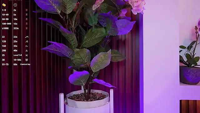 Freechat Anybuny on StripChat