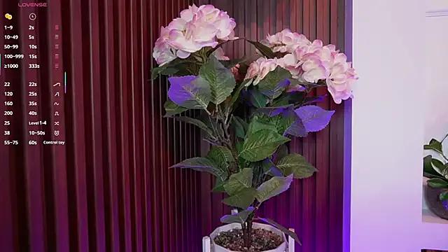 Freechat Anybuny on StripChat