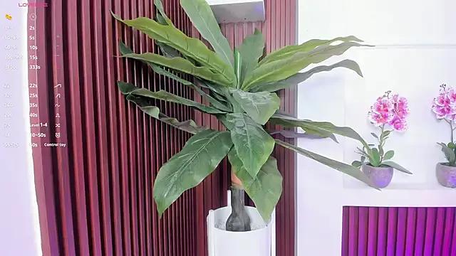 Freechat Anybuny on StripChat