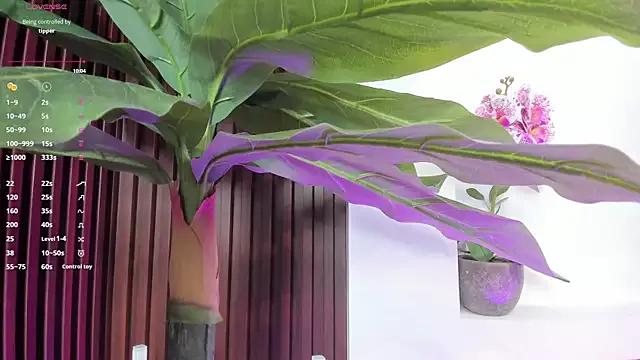 Freechat Anybuny on StripChat