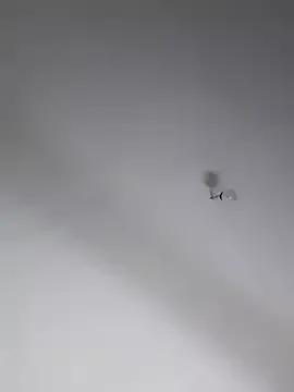 Freechat Joagorditahot on StripChat