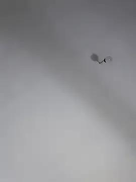 Freechat Joagorditahot on StripChat