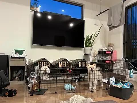 Freechat ken_0927 on StripChat