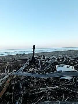 StripChat pegaso369 is Freechat pegaso369 — Cum,sborro