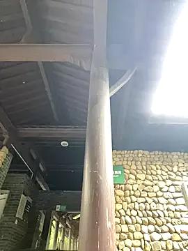 so-linger on StripChat