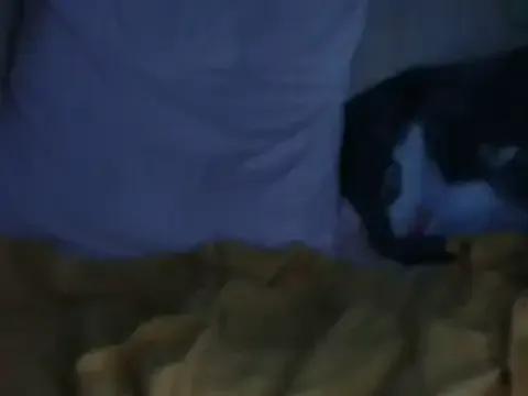 VeneRed on StripChat 